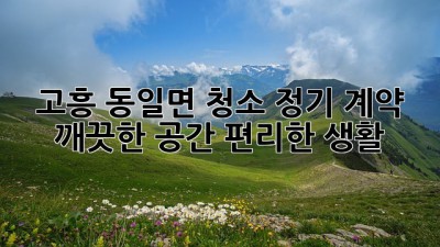 고흥 동일면 청소 정기 계약: 깨끗한 공간, 편리한 생활