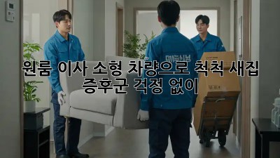 원룸 이사, 소형 차량으로 척척! 새집 증후군 걱정 없이✨